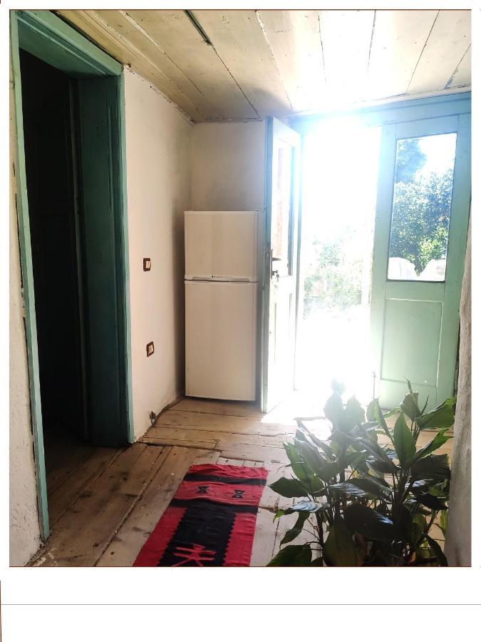 At Gjergj Fishta Apart-House Shkodër Екстериор снимка